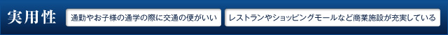 実用性　通勤やお子様の通学の際に交通の便がいい　レストランやショッピングモールなど商業施設が充実している